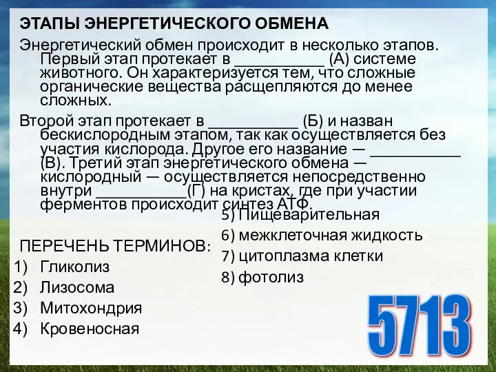 ЭТАПЫ ЭНЕРГЕТИЧЕСКОГО ОБМЕНА Энергетический обмен происходит в несколько этапов. Первый этап