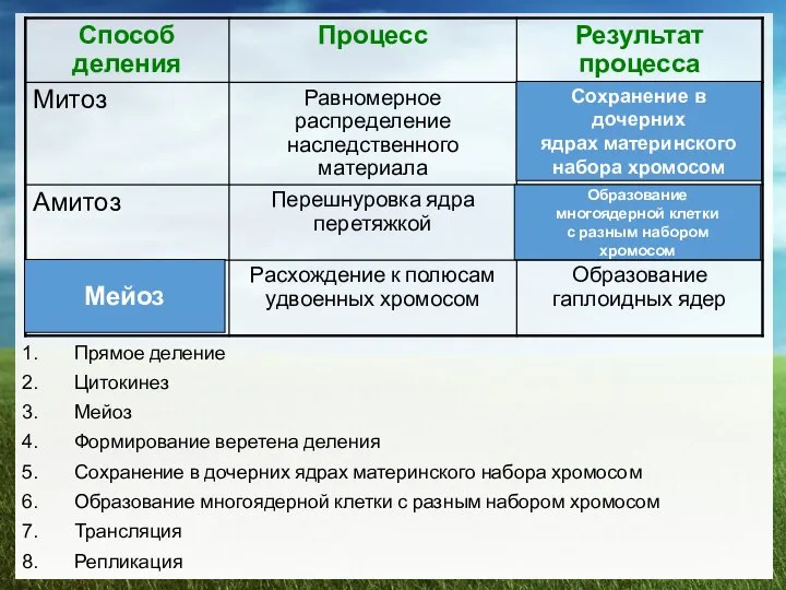 Прямое деление Цитокинез Мейоз Формирование веретена деления Сохранение в дочерних ядрах