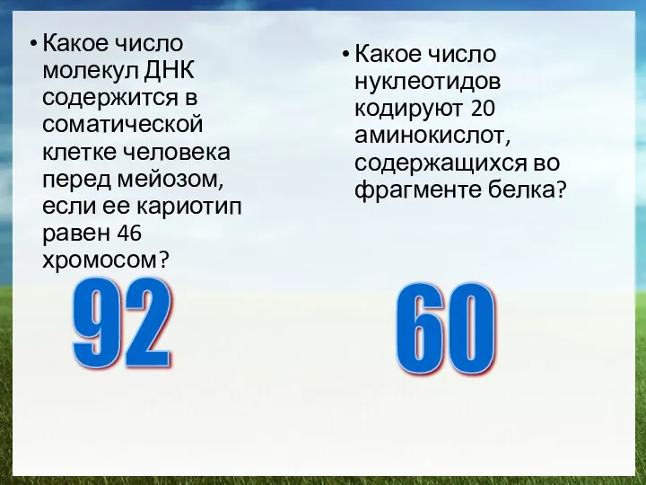 Какое число молекул ДНК содержится в соматической клетке человека перед мейозом,