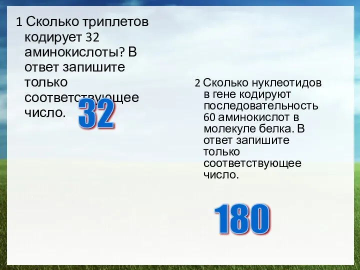 1 Сколько триплетов кодирует 32 аминокислоты? В ответ запишите только соответствующее