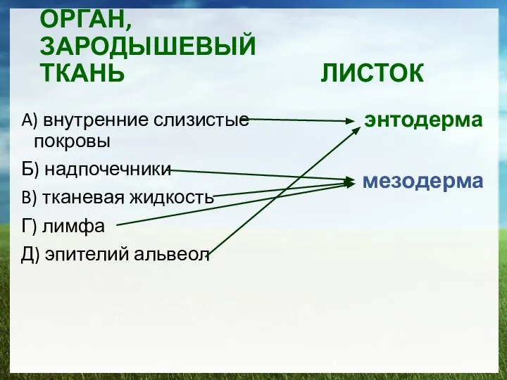 ОРГАН, ЗАРОДЫШЕВЫЙ ТКАНЬ ЛИСТОК A) внутренние слизистые покровы Б) надпочечники B)