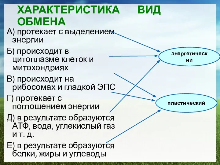 ХАРАКТЕРИСТИКА ВИД ОБМЕНА А) протекает с выделением энергии Б) происходит в