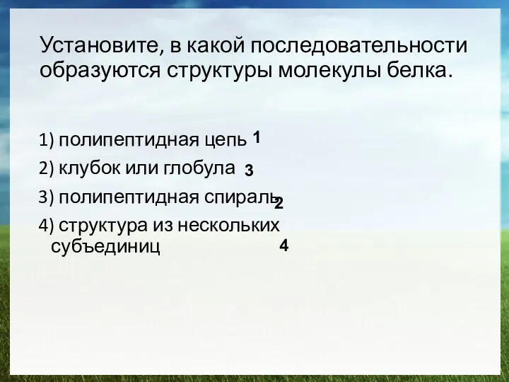 Установите, в какой последовательности образуются структуры молекулы белка. 1) полипептидная цепь