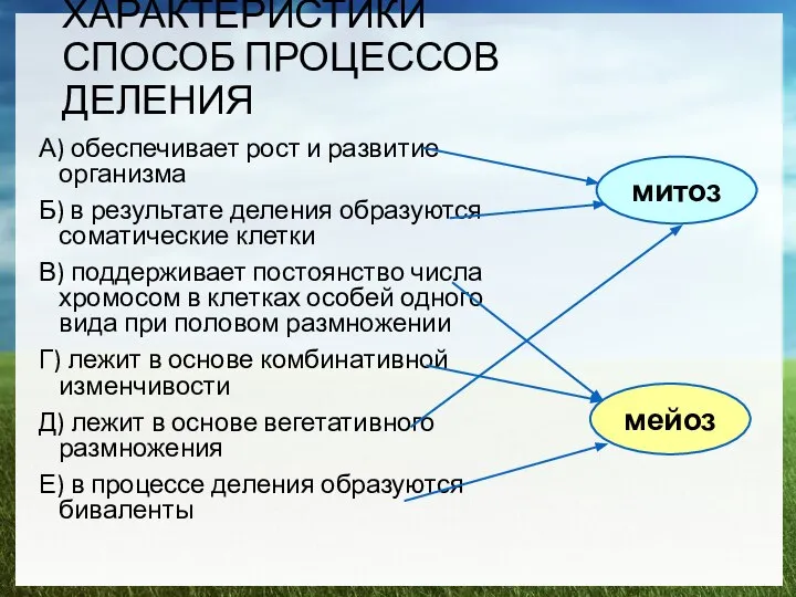 ХАРАКТЕРИСТИКИ СПОСОБ ПРОЦЕССОВ ДЕЛЕНИЯ А) обеспечивает рост и развитие организма Б)