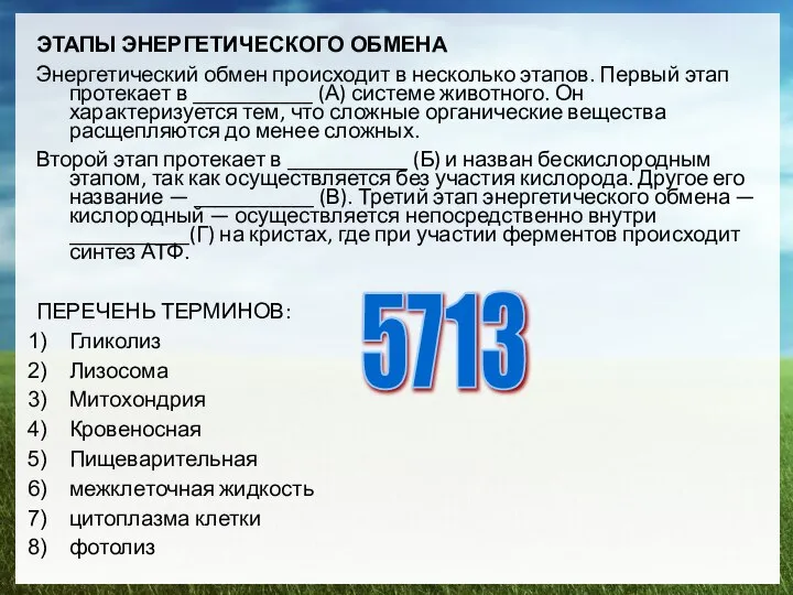 ЭТАПЫ ЭНЕРГЕТИЧЕСКОГО ОБМЕНА Энергетический обмен происходит в несколько этапов. Первый этап