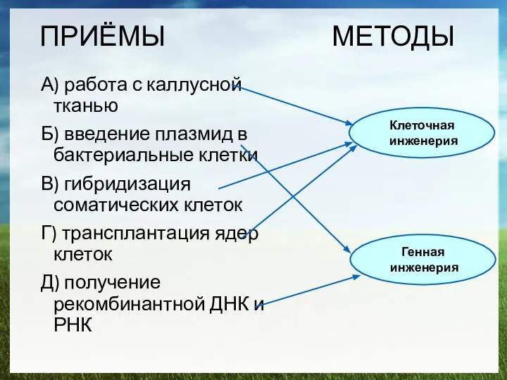 ПРИЁМЫ МЕТОДЫ А) работа с каллусной тканью Б) введение плазмид в