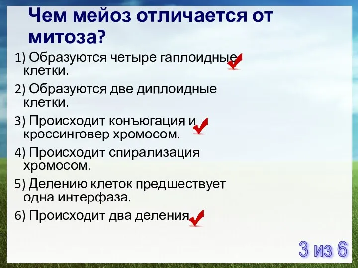 Чем мейоз отличается от митоза? 1) Образуются четыре гаплоидные клетки. 2)