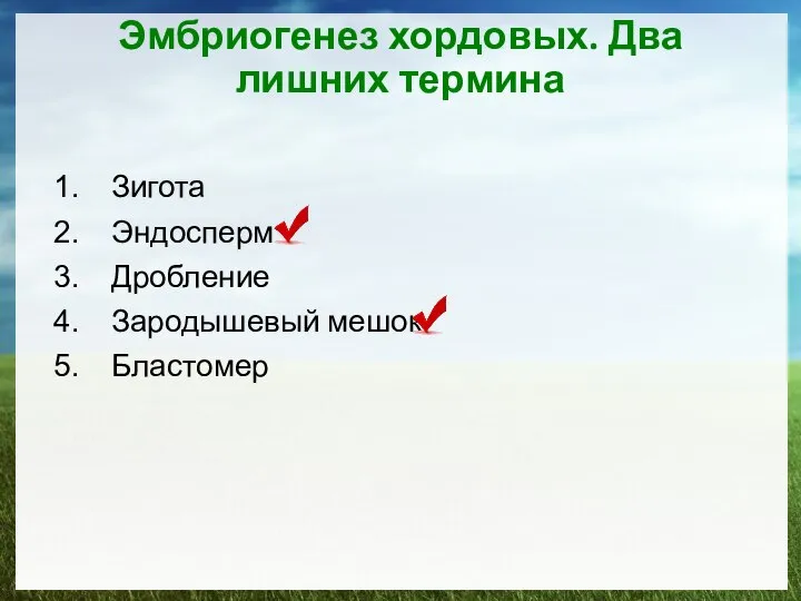 Эмбриогенез хордовых. Два лишних термина Зигота Эндосперм Дробление Зародышевый мешок Бластомер