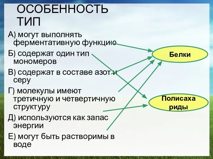 ОСОБЕННОСТЬ ТИП А) могут выполнять ферментативную функцию Б) содержат один тип