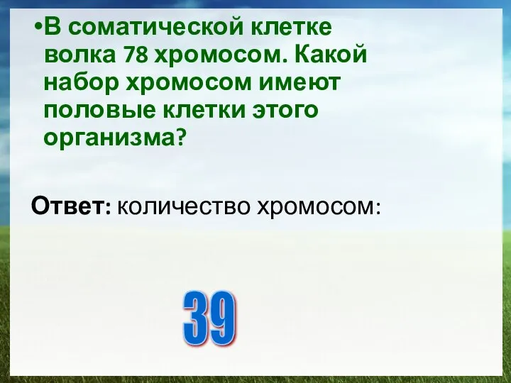 В соматической клетке волка 78 хромосом. Какой набор хромосом имеют половые