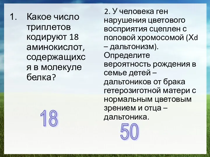 Какое число триплетов кодируют 18 аминокислот, содержащихся в молекуле белка? 18