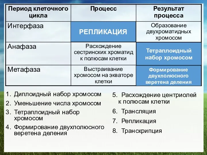 Диплоидный набор хромосом Уменьшение числа хромосом Тетраплоидный набор хромосом Формирование двухполюсного