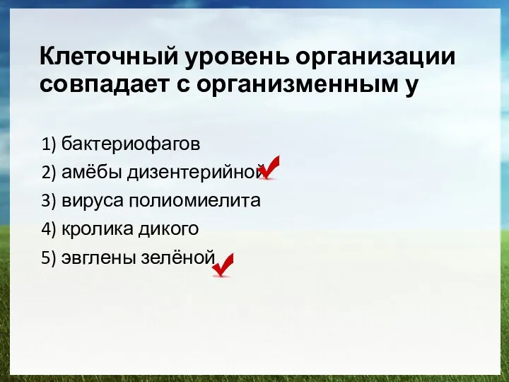 Клеточный уровень организации совпадает с организменным у 1) бактериофагов 2) амёбы