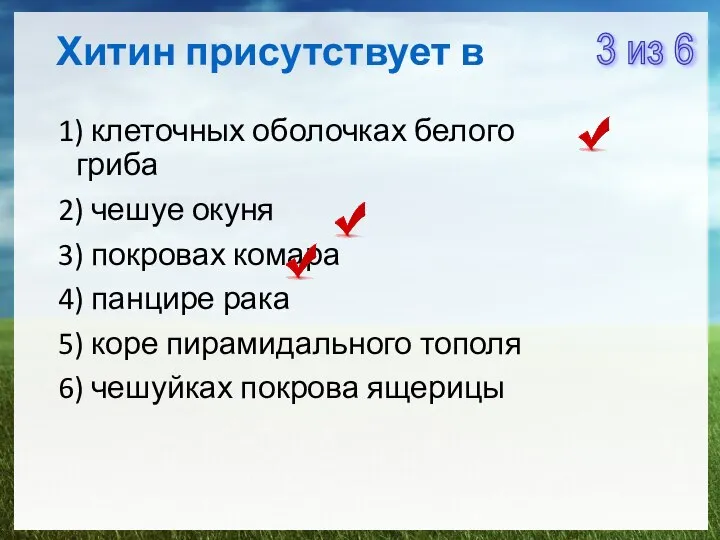 Хитин присутствует в 1) клеточных оболочках белого гриба 2) чешуе окуня