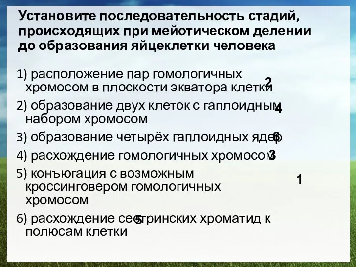 Установите последовательность стадий, происходящих при мейотическом делении до образования яйцеклетки человека