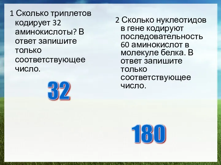 1 Сколько триплетов кодирует 32 аминокислоты? В ответ запишите только соответствующее