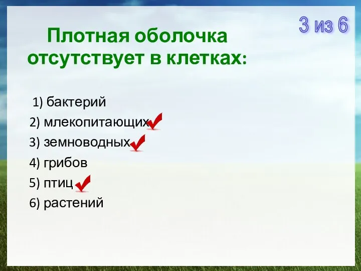 Плотная оболочка отсутствует в клетках: 1) бактерий 2) млекопитающих 3) земноводных