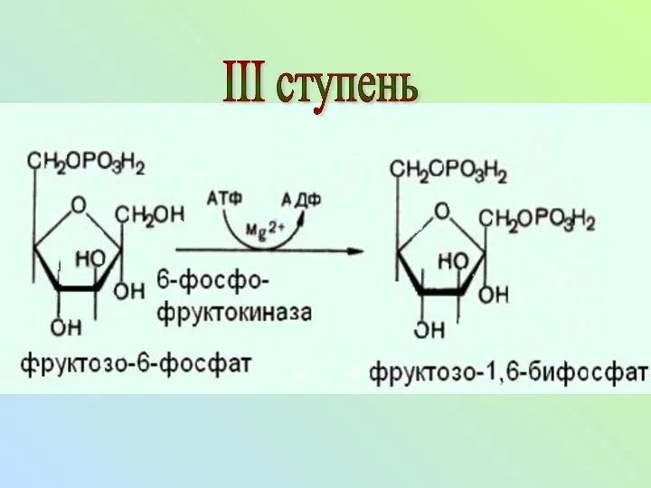 III ступень