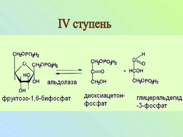 IV ступень