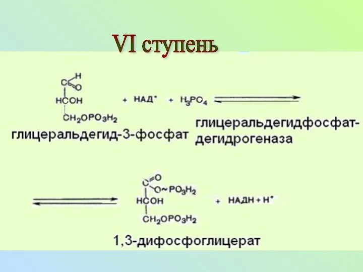 VI ступень