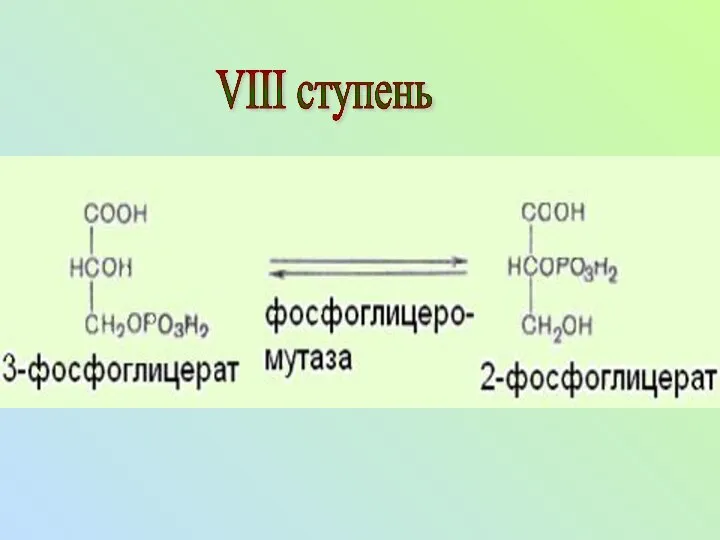 VIII ступень