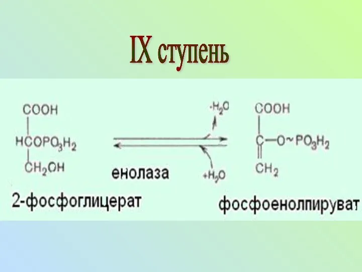 IX ступень