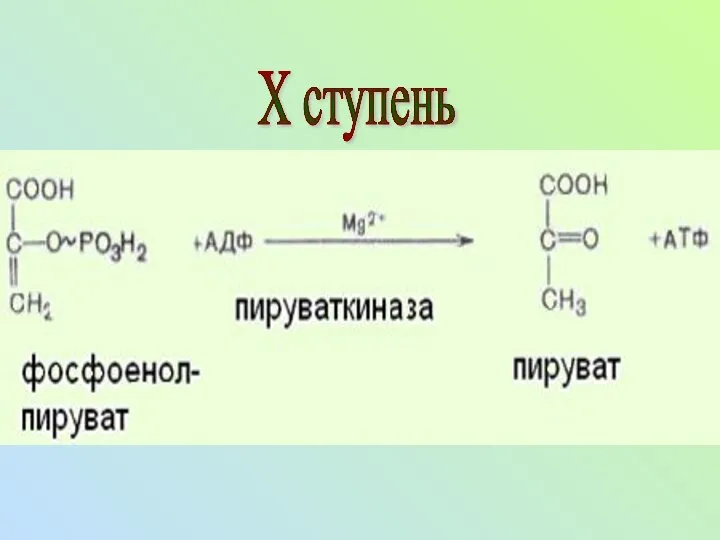 X ступень