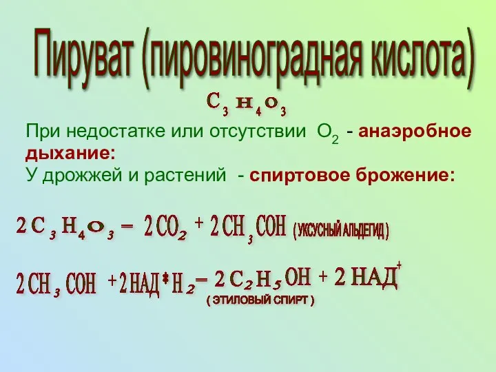 При недостатке или отсутствии О2 - анаэробное дыхание: У дрожжей и