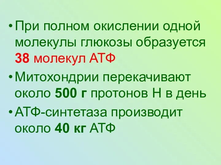 При полном окислении одной молекулы глюкозы образуется 38 молекул АТФ Митохондрии