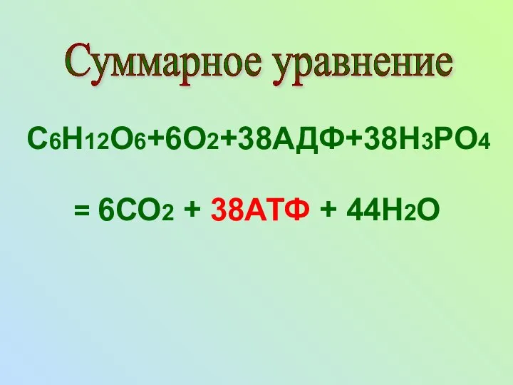 С6Н12О6+6О2+38АДФ+38Н3РО4 = 6СО2 + 38АТФ + 44Н2О Суммарное уравнение