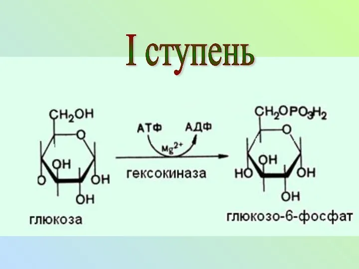 I ступень