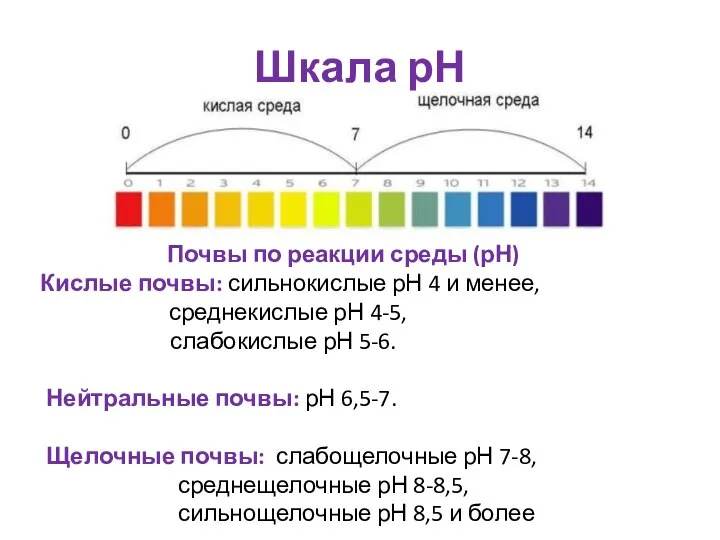 Шкала рН Почвы по реакции среды (рН) Кислые почвы: сильнокислые рН