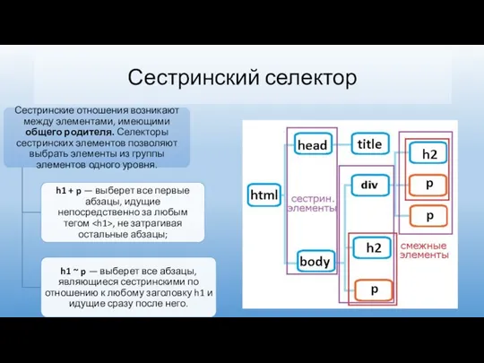 Сестринский селектор