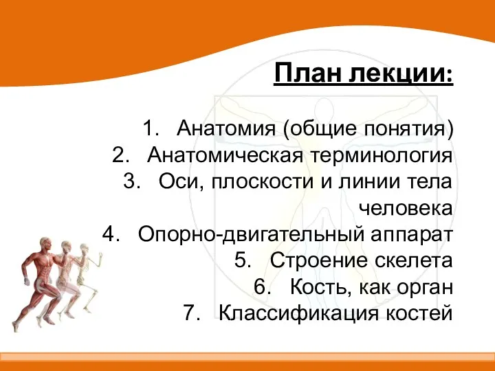 План лекции: Анатомия (общие понятия) Анатомическая терминология Оси, плоскости и линии