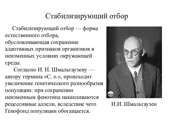 Стабилизирующий отбор Стабилизирующий отбор — форма естественного отбора, обусловливающая сохранение адаптивных