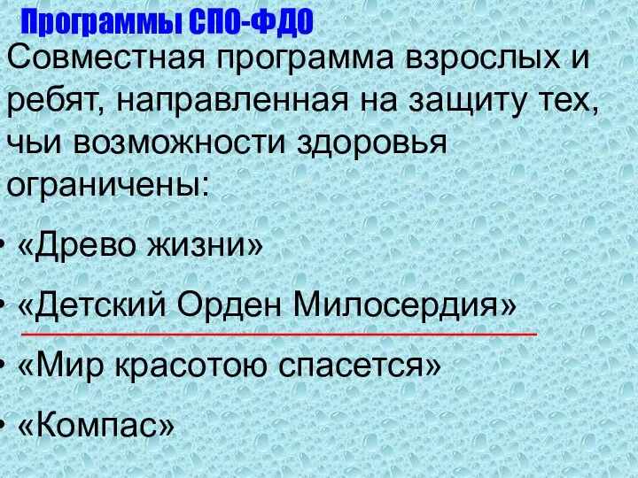 Совместная программа взрослых и ребят, направленная на защиту тех, чьи возможности