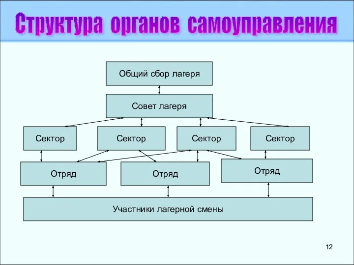 Структура органов самоуправления Общий сбор лагеря Совет лагеря Сектор Сектор Отряд