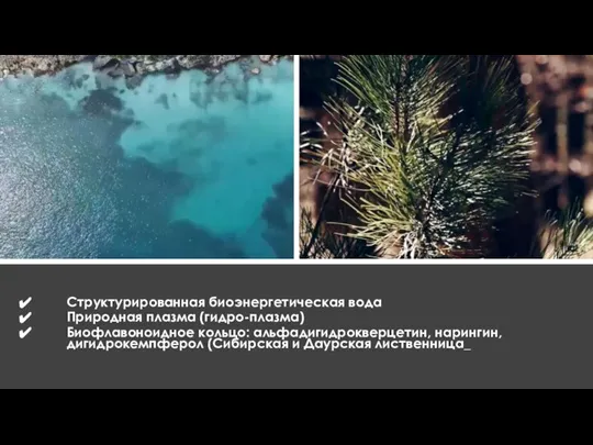 Структурированная биоэнергетическая вода Природная плазма (гидро-плазма) Биофлавоноидное кольцо: альфадигидрокверцетин, нарингин, дигидрокемпферол (Сибирская и Даурская лиственница_