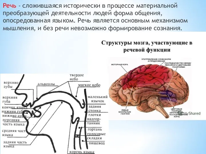 Речь - сложившаяся исторически в процессе материальной преобразующей деятельности людей форма