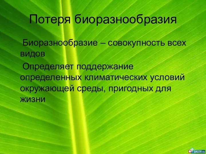 Потеря биоразнообразия Биоразнообразие – совокупность всех видов Определяет поддержание определенных климатических