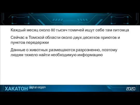 Каждый месяц около 80 тысяч томичей ищут себе там питомца Сейчас