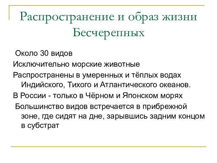 Распространение и образ жизни Бесчерепных Около 30 видов Исключительно морские животные