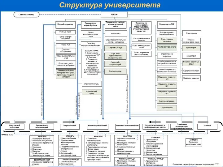 Структура университета