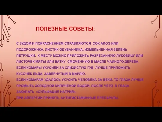 ПОЛЕЗНЫЕ СОВЕТЫ: С ЗУДОМ И ПОКРАСНЕНИЕМ СПРАВЛЯЮТСЯ СОК АЛОЭ ИЛИ ПОДОРОЖНИКА,