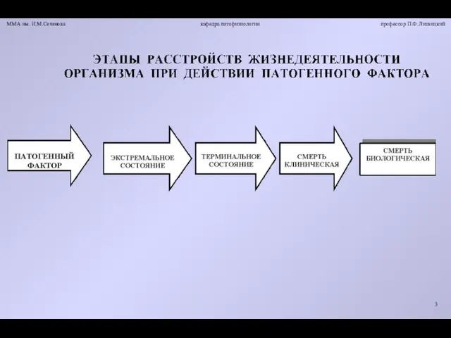 ММА им. И.М.Сеченова кафедра патофизиологии профессор П.Ф.Литвицкий 3