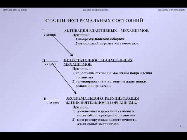 ММА им. И.М.Сеченова кафедра патофизиологии профессор П.Ф.Литвицкий 6