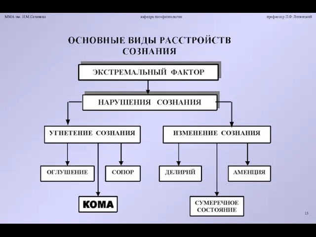 ММА им. И.М.Сеченова кафедра патофизиологии профессор П.Ф.Литвицкий 15