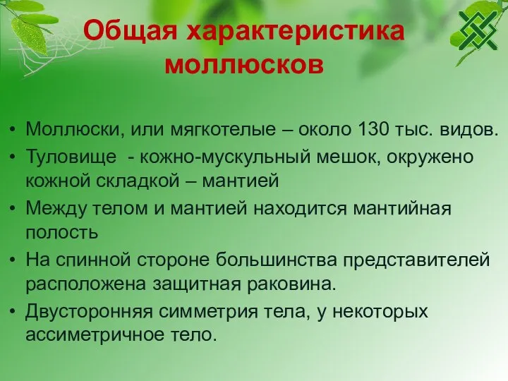 Общая характеристика моллюсков Моллюски, или мягкотелые – около 130 тыс. видов.