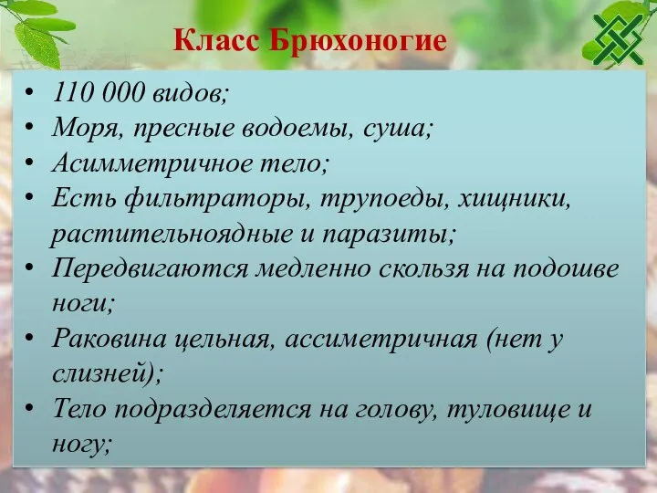 Класс Брюхоногие 110 000 видов; Моря, пресные водоемы, суша; Асимметричное тело;