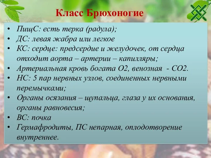 Класс Брюхоногие ПищС: есть терка (радула); ДС: левая жабра или легкое